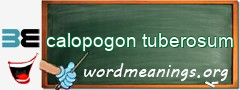 WordMeaning blackboard for calopogon tuberosum